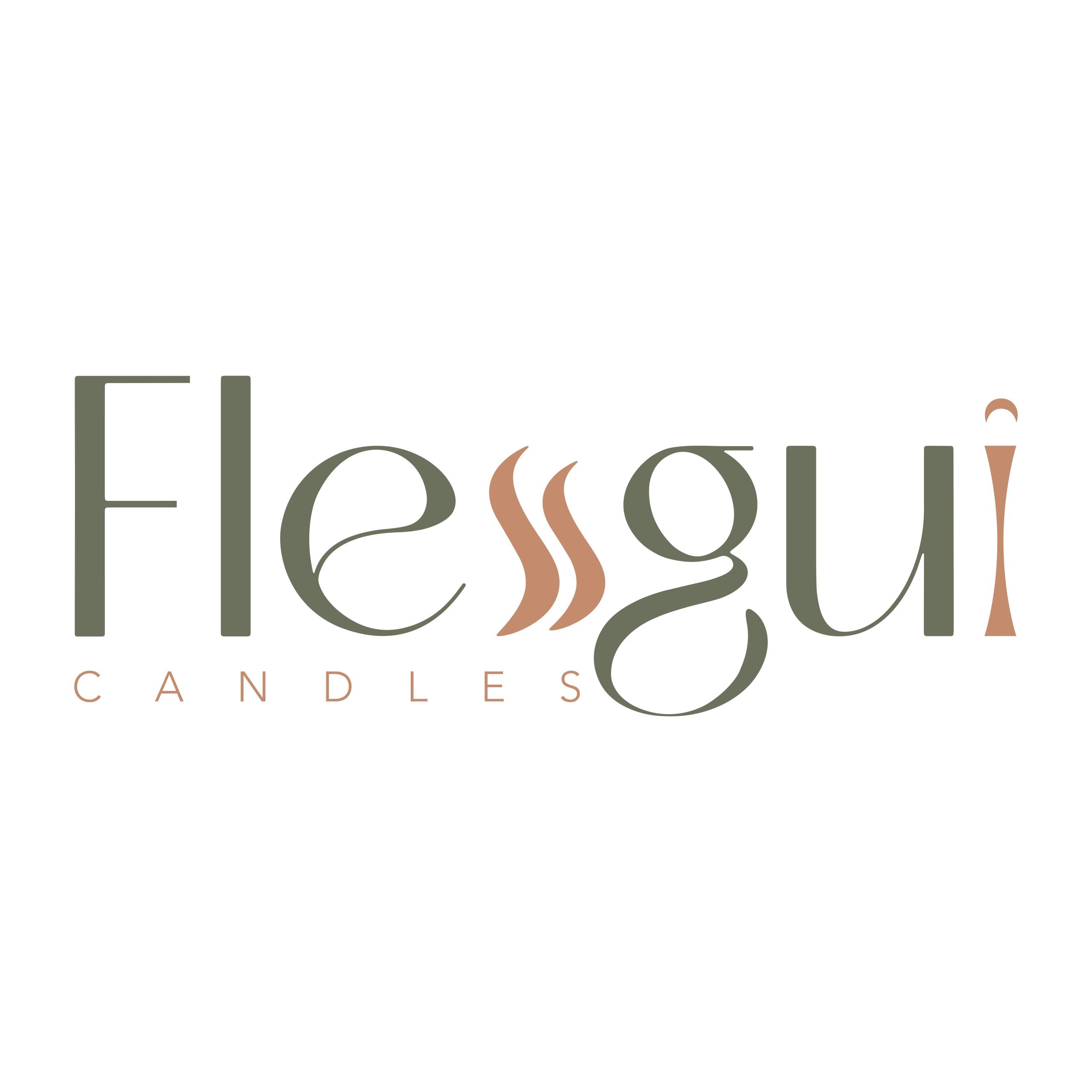 Logo Flesgui 01 Logo (3) - Flesgui gt
